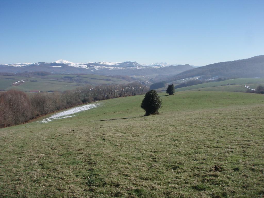Casa Rural Irugoienea Espinal-Auzperri Eksteriør billede